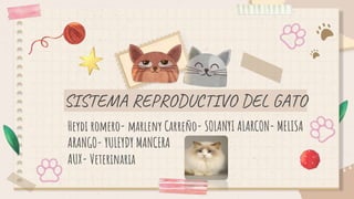Heydi romero- marleny Carreño- SOLANYI ALARCON- MELISA
ARANGO- YULEYDY MANCERA
AUX- Veterinaria
SISTEMA REPRODUCTIVO DEL GATO
 