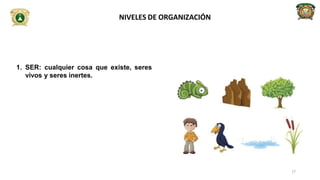 1. SER: cualquier cosa que existe, seres
vivos y seres inertes.
NIVELES DE ORGANIZACIÓN
17
 