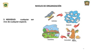 2. NDIVIDUO: cualquier ser
vivo de cualquier especie.
NIVELES DE ORGANIZACIÓN
18
 