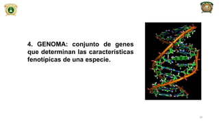 4. GENOMA: conjunto de genes
que determinan las características
fenotípicas de una especie.
20
 