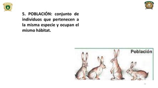 5. POBLACIÓN: conjunto de
individuos que pertenecen a
la misma especie y ocupan el
mismo hábitat.
21
 