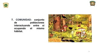 7. COMUNIDAD: conjunto
de poblaciones
interactuando entre sí
ocupando el mismo
hábitat.
23
 