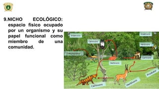 9.NICHO ECOLÓGICO:
espacio físico ocupado
por un organismo y su
papel funcional como
miembro de una
comunidad.
25
 