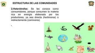 ESTRUCTURA DE LAS COMUNIDADES
2.Heterótrofos: Se les conoce como
consumidores, porque consumen la materia
rica en energía elaborada por los
productores, ya sea directa (herbívoros) o
indirectamente (carnívoros)
•.
38
 