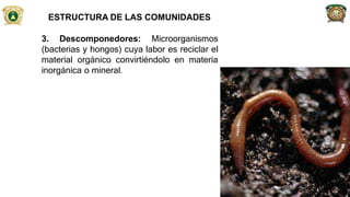 ESTRUCTURA DE LAS COMUNIDADES
3. Descomponedores: Microorganismos
(bacterias y hongos) cuya labor es reciclar el
material orgánico convirtiéndolo en materia
inorgánica o mineral.
39
 