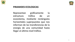 PIRAMIDES ECOLOGICAS
Representan gráficamente la
estructura trófica de un
ecosistema, mediante rectángulos
horizontales superpuestos que nos
informan de las transferencias de la
energía de una comunidad hasta
llegar al último nivel trófico.
43
 