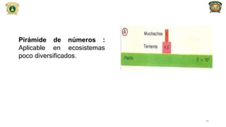 Pirámide
Aplicable
de números :
en ecosistemas
poco diversificados.
45
 