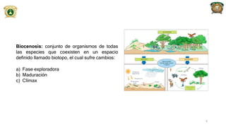 Biocenosis: conjunto de organismos de todas
las especies que coexisten en un espacio
definido llamado biotopo, el cual sufre cambios:
a) Fase exploradora
b) Maduración
c) Clímax
6
 