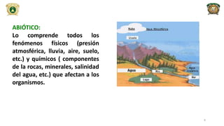 ABIÓTICO:
Lo comprende todos los
fenómenos físicos (presión
atmosférica, lluvia, aire, suelo,
etc.) y químicos ( componentes
de la rocas, minerales, salinidad
del agua, etc.) que afectan a los
organismos.
8
 