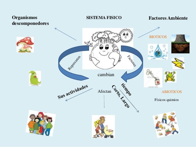 Sistema fisico