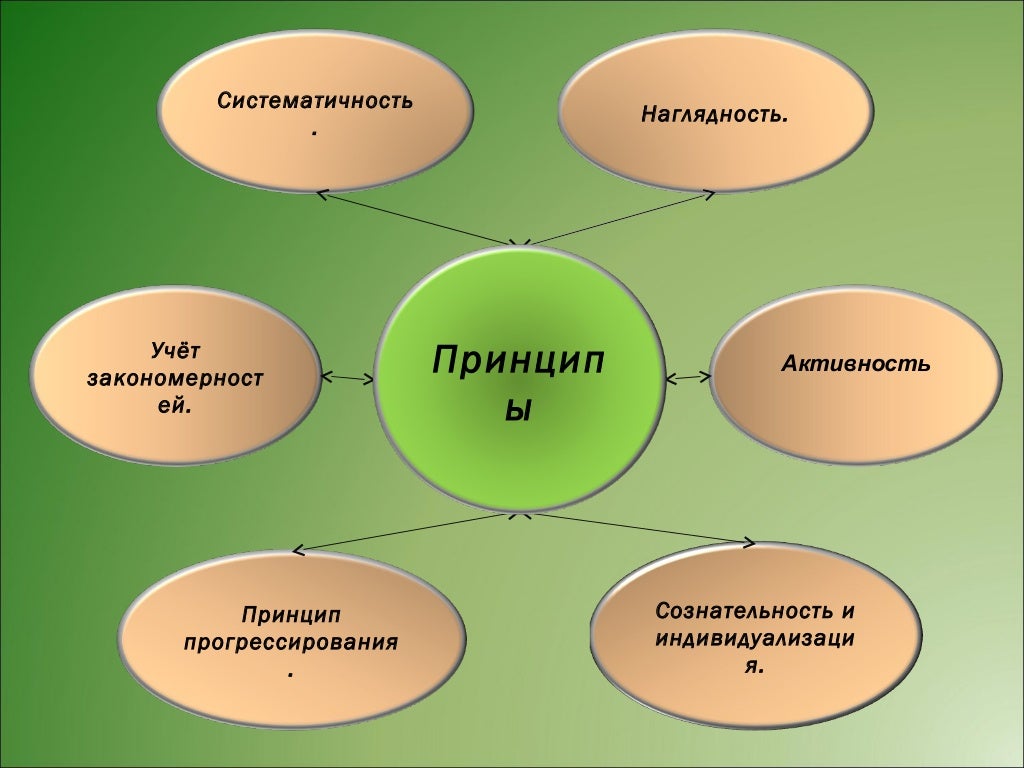 Принцип наглядности и систематичности в обучении. Принцип прогрессирования. принцип прогрессирования в физической культуре. принцип прогрессирования воздействий. принцип прогрессирования педагогического воздействия.