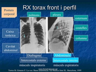 Postura
                  RX torax front i perfil
corporal                 pulmons                    pleura
             ...