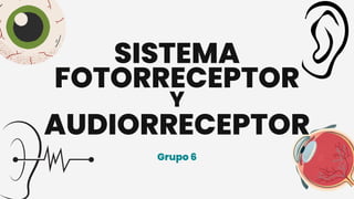 SISTEMA
Grupo 6
FOTORRECEPTOR
AUDIORRECEPTOR
Y
 