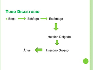 TUBO DIGESTÓRIO
 Boca Esôfago Estômago
Intestino Delgado
Ânus Intestino Grosso
 