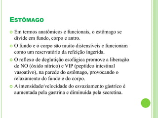 ESTÔMAGO
 Em termos anatômicos e funcionais, o estômago se
divide em fundo, corpo e antro.
 O fundo e o corpo são muito distensíveis e funcionam
como um reservatório da refeição ingerida.
 O reflexo de deglutição esofágica promove a liberação
de NO (óxido nítrico) e VIP (peptídeo intestinal
vasoativo), na parede do estômago, provocando o
relaxamento do fundo e do corpo.
 A intensidade/velocidade do esvaziamento gástrico é
aumentada pela gastrina e diminuída pela secretina.
 
