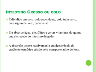 INTESTINO GROSSO OU COLO
 É dividido em ceco, colo ascendente, colo transverso,
colo sigmóide, reto, canal anal.
 Ele absorve água, eletrólitos e certas vitaminas do quimo
que ele recebe do intestino delgado.
 A absorção ocorre passivamente em decorrência do
gradiente osmótico criado pelo transporte ativo de íons.
 