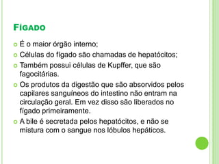 FÍGADO
 É o maior órgão interno;
 Células do fígado são chamadas de hepatócitos;
 Também possui células de Kupffer, que são
fagocitárias.
 Os produtos da digestão que são absorvidos pelos
capilares sanguíneos do intestino não entram na
circulação geral. Em vez disso são liberados no
fígado primeiramente.
 A bile é secretada pelos hepatócitos, e não se
mistura com o sangue nos lóbulos hepáticos.
 