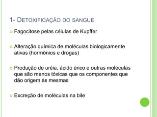 1- DETOXIFICAÇÃO DO SANGUE
 Fagocitose pelas células de Kupffer
 Alteração química de moléculas biologicamente
ativas (hormônios e drogas)
 Produção de uréia, ácido úrico e outras moléculas
que são menos tóxicas que os componentes que
dão origem às mesmas
 Excreção de moléculas na bile
 