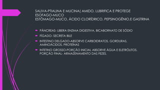 SALIVA-PTIALINA E MUCINA( AMIDO, LUBRIFICA E PROTEGE
ESOFAGO-MUCO
ESTÔMAGO-MUCO, ÁCIDO CLORÍDRICO, PEPSINOGÊNIO,E GASTRINA
 PÂNCREAS- LIBERA ENZIMA DIGESTIVA, BICABORNATO DE SÓDIO
 FÍGADO- SECRETA BILE
 INTESTINO DELGADO-ABSORVE CARBOIDRATOS, GORDURAS,
AMINOÁCIDOS, PROTEÍNAS
 INTETINO GROSSO-PORÇÃO INICIAL ABSORVE ÁGUA E ELETRÓLITOS,
PORÇÃO FINAL- ARMAZENAMENTO DAS FEZES.
 