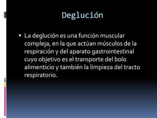Deglución
 La deglución es una función muscular
compleja, en la que actúan músculos de la
respiración y del aparato gastrointestinal
cuyo objetivo es el transporte del bolo
alimenticio y también la limpieza del tracto
respiratorio.
 