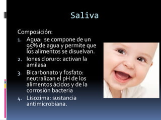 Saliva
Composición:
1. Agua: se compone de un
95% de agua y permite que
los alimentos se disuelvan.
2. Iones cloruro: activan la
amilasa
3. Bicarbonato y fosfato:
neutralizan el pH de los
alimentos ácidos y de la
corrosión bacteria
4. Lisozima: sustancia
antimicrobiana.
 