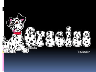 Sistema gastrointestinal 2013 2.