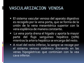 VASCULARIZACION VENOSA
 El sistema vascular venoso del aparato digestivo
es recogido por la vena porta, que se forma de la
unión de la vena mesentérica superior con la
vena esplénica de manera constante.
 La vena porta drena el hígado y aporta la mayor
parte del flujo sanguíneo hepático (70%)
mientras la arteria hepática se encarga del resto.
 A nivel del recto inferior, la sangre se recoge por
el sistema venoso sistémico drenando en las
venas hipogástricas que continúan con la vea
cava inferior.
 