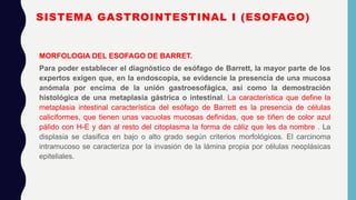 SISTEMA GASTROINTESTINAL I esófago, patologías | PPTX