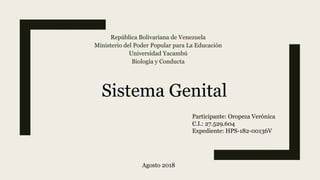 República Bolivariana de Venezuela
Ministerio del Poder Popular para La Educación
Universidad Yacambú
Biología y Conducta
Sistema Genital
Participante: Oropeza Verónica
C.I.: 27.529.604
Expediente: HPS-182-00136V
Agosto 2018
 