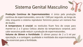 Sistema Genital Masculino
Produção Contínua de Espermatozoides: é único pela produção
contínua de espermatozoides, cerca de 1.500 por segundo, ao longo da
vida, enquanto o sistema reprodutor feminino possui um número fixo
de óvulos.
A temperatura é crucial: os testículos ficam fora do corpo para
manter-se 2 a 3 graus Celsius abaixo da temperatura corporal, pois
calor excessivo pode reduzir a produção de espermatozoides.
Volume de Sêmen e Fertilidade: O sêmen possui de 2 a 5 ml por
ejaculação, e a contagem, qualidade e motilidade dos espermatozoides
são essenciais para a fertilidade.
 
