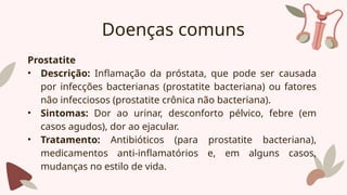 Doenças comuns
Prostatite
• Descrição: Inflamação da próstata, que pode ser causada
por infecções bacterianas (prostatite bacteriana) ou fatores
não infecciosos (prostatite crônica não bacteriana).
• Sintomas: Dor ao urinar, desconforto pélvico, febre (em
casos agudos), dor ao ejacular.
• Tratamento: Antibióticos (para prostatite bacteriana),
medicamentos anti-inflamatórios e, em alguns casos,
mudanças no estilo de vida.
 