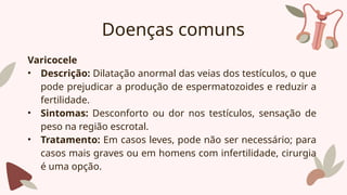 Doenças comuns
Varicocele
• Descrição: Dilatação anormal das veias dos testículos, o que
pode prejudicar a produção de espermatozoides e reduzir a
fertilidade.
• Sintomas: Desconforto ou dor nos testículos, sensação de
peso na região escrotal.
• Tratamento: Em casos leves, pode não ser necessário; para
casos mais graves ou em homens com infertilidade, cirurgia
é uma opção.
 
