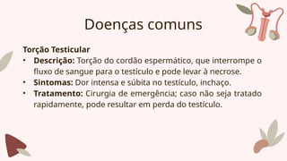 Doenças comuns
Torção Testicular
• Descrição: Torção do cordão espermático, que interrompe o
fluxo de sangue para o testículo e pode levar à necrose.
• Sintomas: Dor intensa e súbita no testículo, inchaço.
• Tratamento: Cirurgia de emergência; caso não seja tratado
rapidamente, pode resultar em perda do testículo.
 