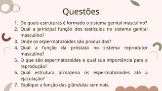 1. De quais estruturas é formado o sistema genital masculino?
2. Qual a principal função dos testículos no sistema genital
masculino?
3. Onde os espermatozoides são produzidos?
4. Qual a função da próstata no sistema reprodutor
masculino?
5. O que são espermatozoides e qual sua importância para a
reprodução?
6. Qual estrutura armazena os espermatozoides até a
ejaculação?
7. Explique a função das glândulas seminais.
Questões
 