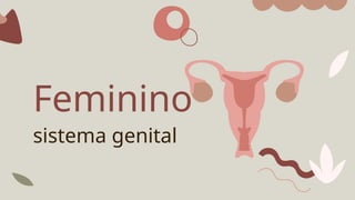Feminino
sistema genital
 