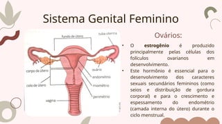 Ovários:
• O estrogênio é produzido
principalmente pelas células dos
folículos ovarianos em
desenvolvimento.
• Este hormônio é essencial para o
desenvolvimento dos caracteres
sexuais secundários femininos (como
seios e distribuição de gordura
corporal) e para o crescimento e
espessamento do endométrio
(camada interna do útero) durante o
ciclo menstrual.
Sistema Genital Feminino
 