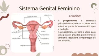 Ovários:
• A progesterona é secretada
principalmente pelo corpo lúteo, uma
estrutura que se forma no ovário após
a ovulação.
• A progesterona prepara o útero para
uma possível gravidez, promovendo o
ambiente ideal para a implantação de
um embrião.
Sistema Genital Feminino
 