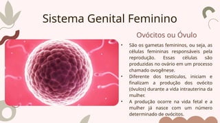 Ovócitos ou Óvulo
• São os gametas femininos, ou seja, as
células femininas responsáveis pela
reprodução. Essas células são
produzidas no ovário em um processo
chamado ovogênese.
• Diferente dos testículos, iniciam e
finalizam a produção dos ovócito
(óvulos) durante a vida intrauterina da
mulher.
• A produção ocorre na vida fetal e a
mulher já nasce com um número
determinado de ovócitos.
Sistema Genital Feminino
 