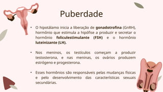 Puberdade
• O hipotálamo inicia a liberação de gonadotrofina (GnRH),
hormônio que estimula a hipófise a produzir e secretar o
hormônio foliculestimulante (FSH) e o hormônio
luteinizante (LH).
• Nos meninos, os testículos começam a produzir
testosterona, e nas meninas, os ovários produzem
estrógeno e progesterona.
• Esses hormônios são responsáveis pelas mudanças físicas
e pelo desenvolvimento das características sexuais
secundárias.
 