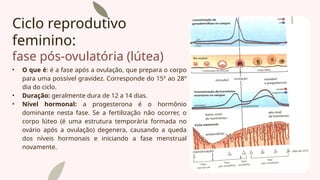 Ciclo reprodutivo
feminino:
fase pós-ovulatória (lútea)
• O que é: é a fase após a ovulação, que prepara o corpo
para uma possível gravidez. Corresponde do 15º ao 28º
dia do ciclo.
• Duração: geralmente dura de 12 a 14 dias.
• Nível hormonal: a progesterona é o hormônio
dominante nesta fase. Se a fertilização não ocorrer, o
corpo lúteo (é uma estrutura temporária formada no
ovário após a ovulação) degenera, causando a queda
dos níveis hormonais e iniciando a fase menstrual
novamente.
 