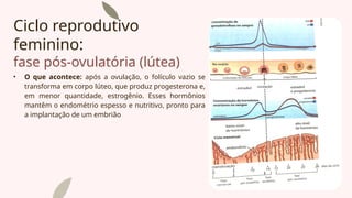 Ciclo reprodutivo
feminino:
fase pós-ovulatória (lútea)
• O que acontece: após a ovulação, o folículo vazio se
transforma em corpo lúteo, que produz progesterona e,
em menor quantidade, estrogênio. Esses hormônios
mantêm o endométrio espesso e nutritivo, pronto para
a implantação de um embrião
 