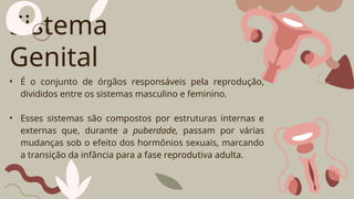Sistema
Genital
• É o conjunto de órgãos responsáveis pela reprodução,
divididos entre os sistemas masculino e feminino.
• Esses sistemas são compostos por estruturas internas e
externas que, durante a puberdade, passam por várias
mudanças sob o efeito dos hormônios sexuais, marcando
a transição da infância para a fase reprodutiva adulta.
 