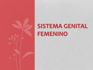 SISTEMA GENITAL
FEMENINO
 