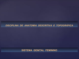 DISCIPLINA  DE  ANATOMIA  DESCRITIVA  E  TOPOGRÁFICA SISTEMA  GENITAL  FEMININO 