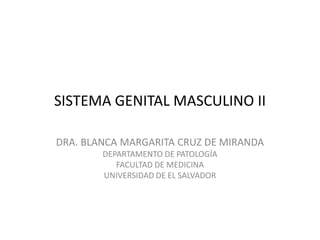 SISTEMA GENITAL MASCULINO II
DRA. BLANCA MARGARITA CRUZ DE MIRANDA
DEPARTAMENTO DE PATOLOGÍA
FACULTAD DE MEDICINA
UNIVERSIDAD DE EL SALVADOR
 