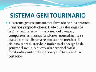 SISTEMA GENITOURINARIO
 El sistema genitourinario está formado por los órganos
 urinarios y reproductores. Dado que estos órganos
 están situados en el mismo área del cuerpo y
 comparten las mismas funciones, normalmente se
 tratan juntos. Sistema reproductor femenino: El
 sistema reproductor de la mujer es el encargado de
 generar el óvulo, o huevo, almacenar el óvulo
 fertilizado y nutrir el embrión y el feto durante la
 gestación.
 