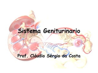 Sistema Geniturinario 
Prof. Cláudio Sérgio da Costa 
 