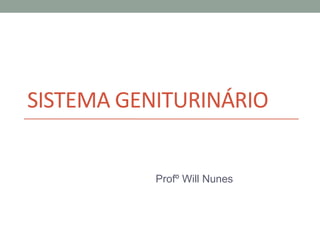 SISTEMA GENITURINÁRIO
Profº Will Nunes
 