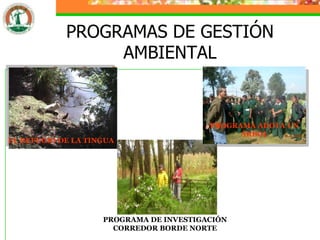 PROGRAMAS DE GESTIÓN
                 AMBIENTAL


                                         PROGRAMA ADOTA UN
                                               ÁRBOL
EL REFUGIO DE LA TINGUA




                    PROGRAMA DE INVESTIGACIÓN
                      CORREDOR BORDE NORTE
 