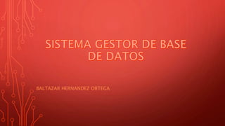 BALTAZAR HERNANDEZ ORTEGA
 